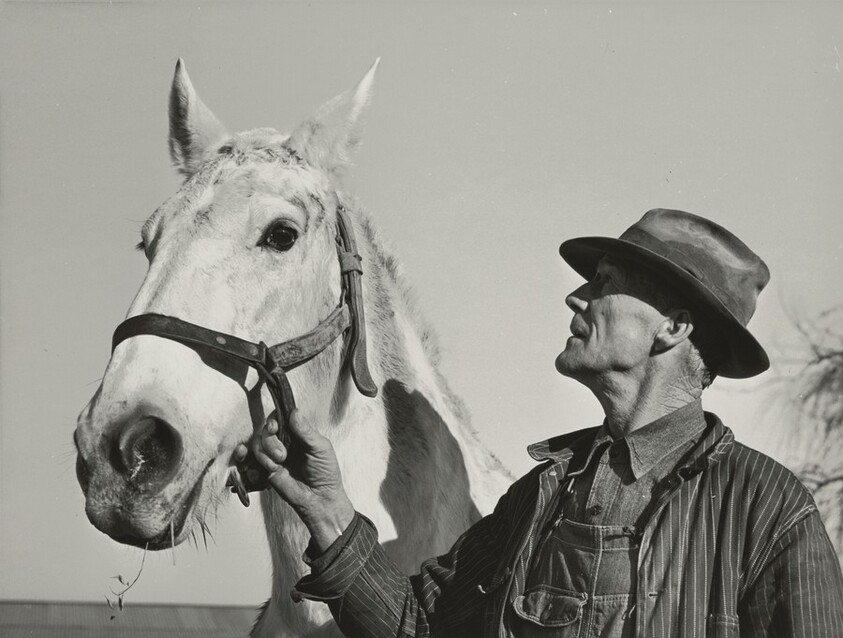 Foreman on Chicken Ranch, Sonoma County, California