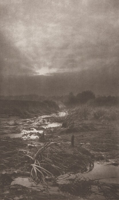 The image shows a landscape with a misty horizon, waterlogged terrain, and some vegetation. The horizon divides the dark land from the sky, which has a gray, overcast tone. The scene includes pools of water, sediment, grasses, and some taller vegetation along a watercourse leading into the distance. The colors are primarily shades of gray, creating a somber atmosphere.
