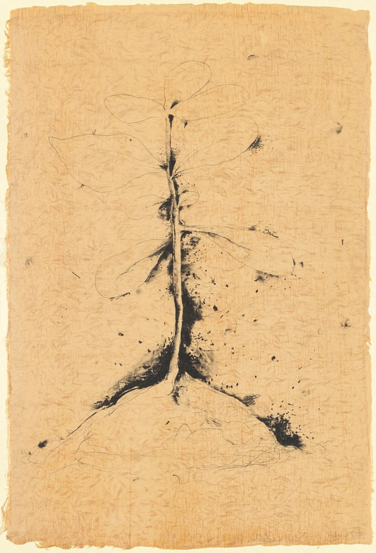 The Plant Becomes a Fan #1