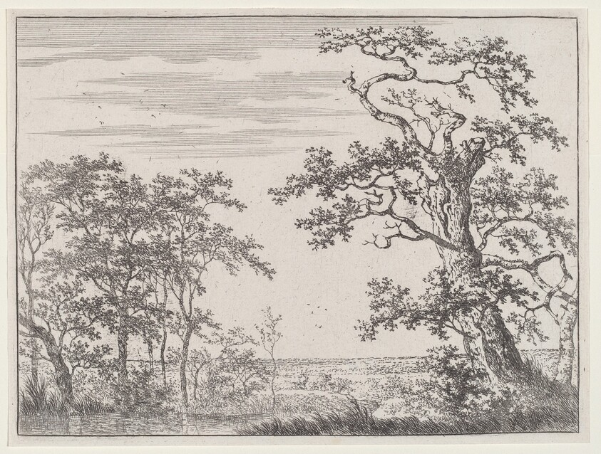 Landscape with a Stream and an Ancient Tree