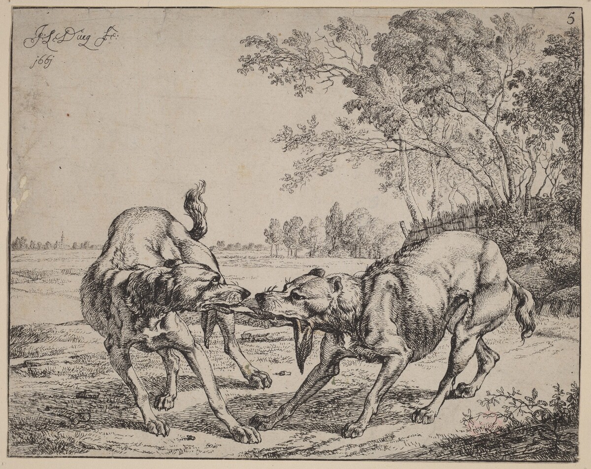 The Disputed Meat (La viande disputé)