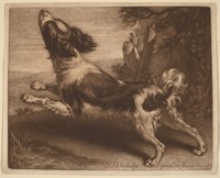 A Spaniel Jumping, Jan Verkolje I, 1680