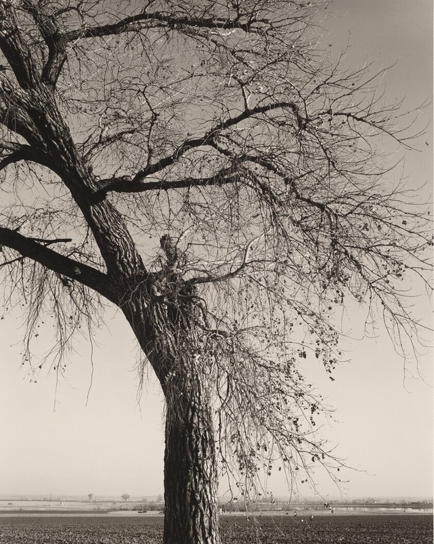 Weld County, Colorado