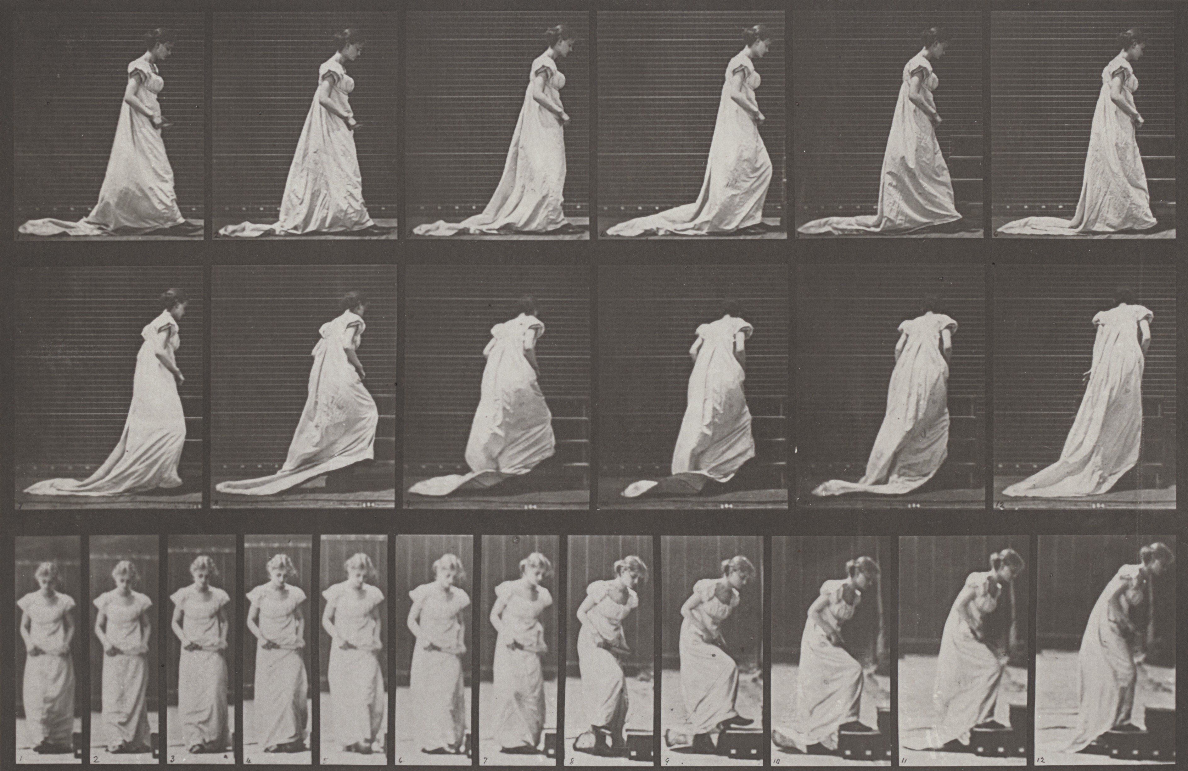 Eadweard Muybridge | National Gallery of Art