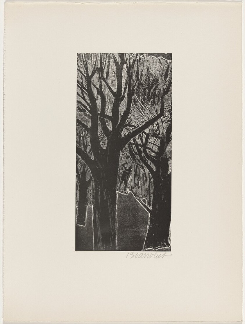 "A Country Doctor" XIII from Franz Kafka's "A Country Doctor"