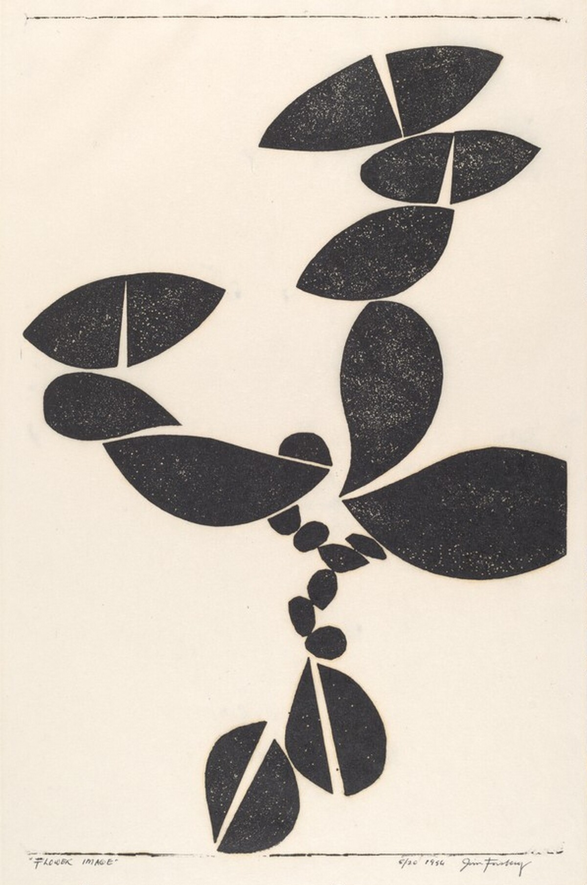 Flower Image
