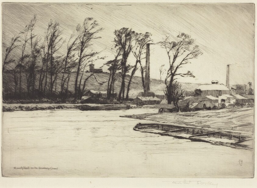 A Wintry Blast on the Stourbridge Canal