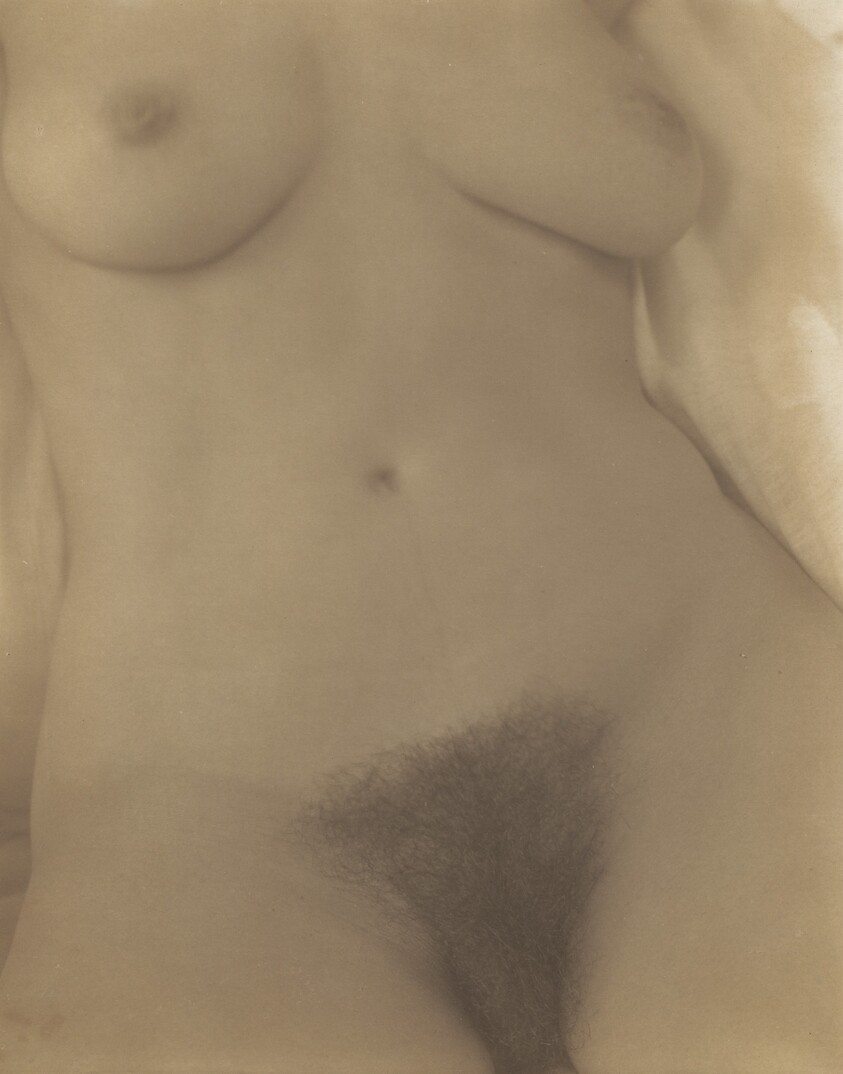 Georgia O'Keeffe—Torso