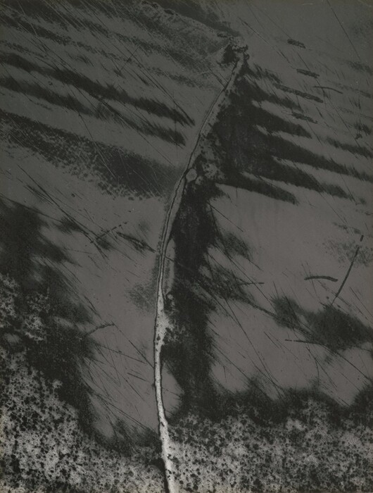 The image displays an array of diagonal and vertical lines intersecting across the surface. The dark lines resemble the motion of a breeze sweeping across a surface. A central vertical line, bordered by shadowy textures, evokes an organic contour, while irregular speckled areas at the bottom suggest a grainy texture.