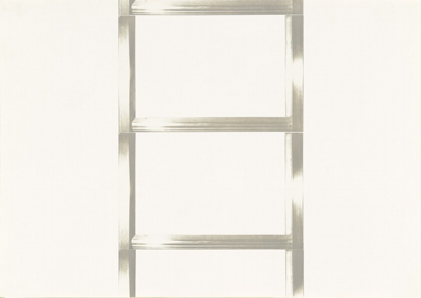 20 Foot Ladder for any Size Wall [V]