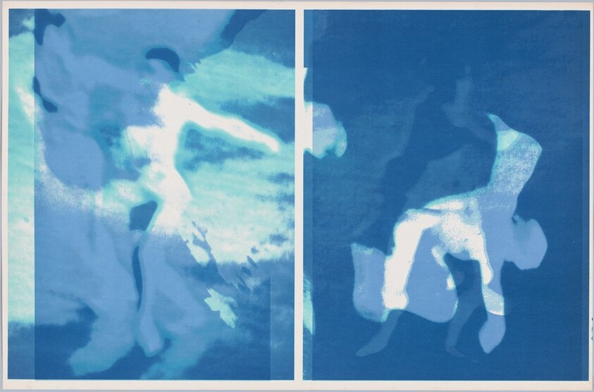 Nureyev Flying (blue)