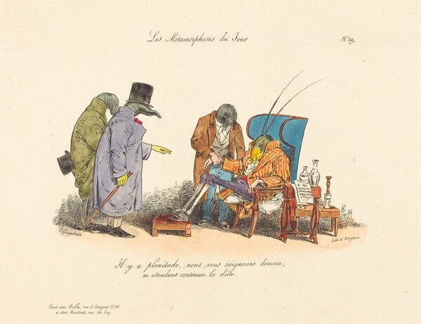 The Ailing Cricket