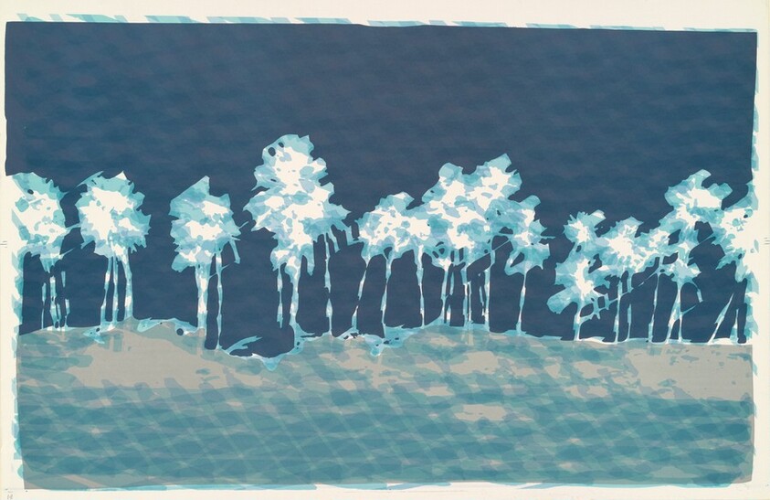 Brazilian Landscape, Amazon River