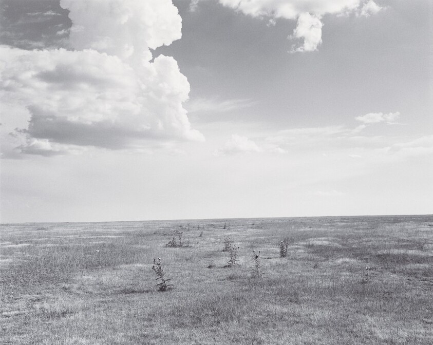 Weld County, Colorado