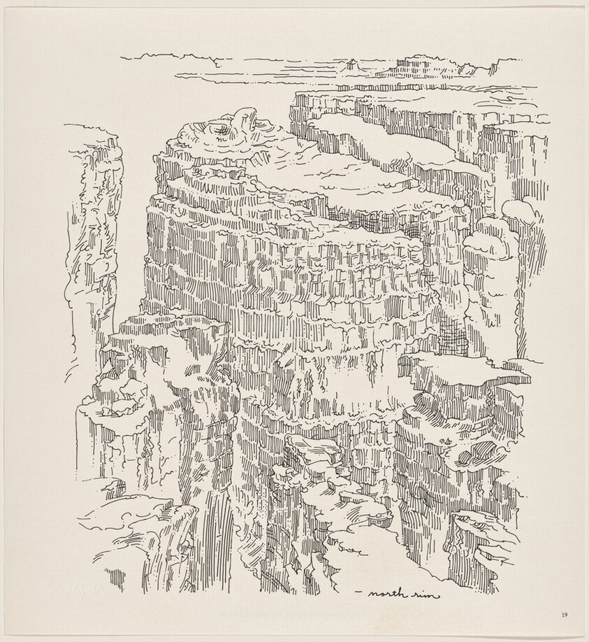 Owl Feathers: page 19