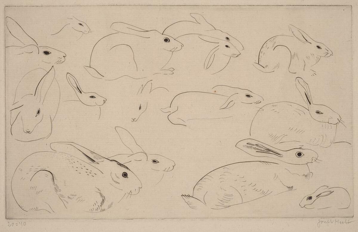 Rabbits (Lapins)