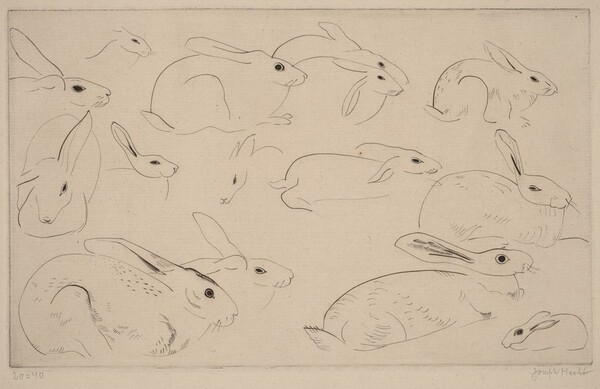 Rabbits (Lapins)