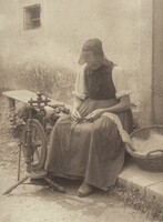 A Study, Gutach, Alfred Stieglitz, 1894, printed 1895/1896