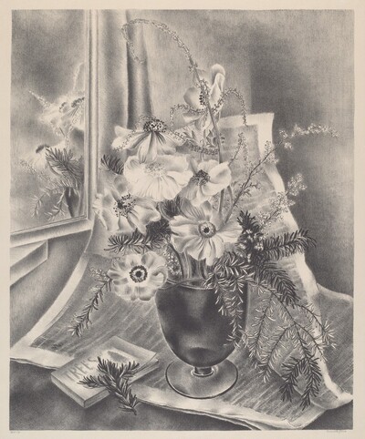 Still Life