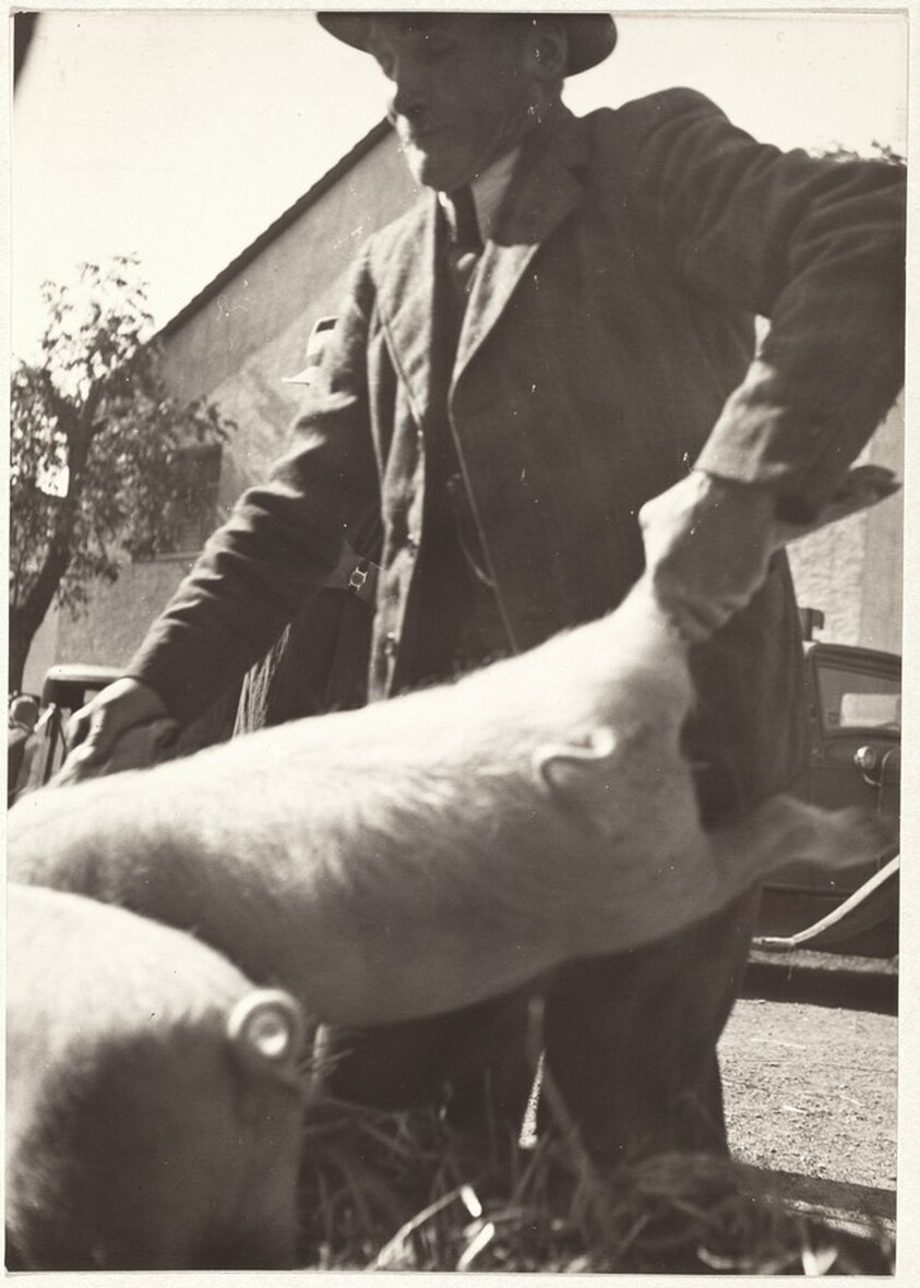 Market outside Zurich--Farming