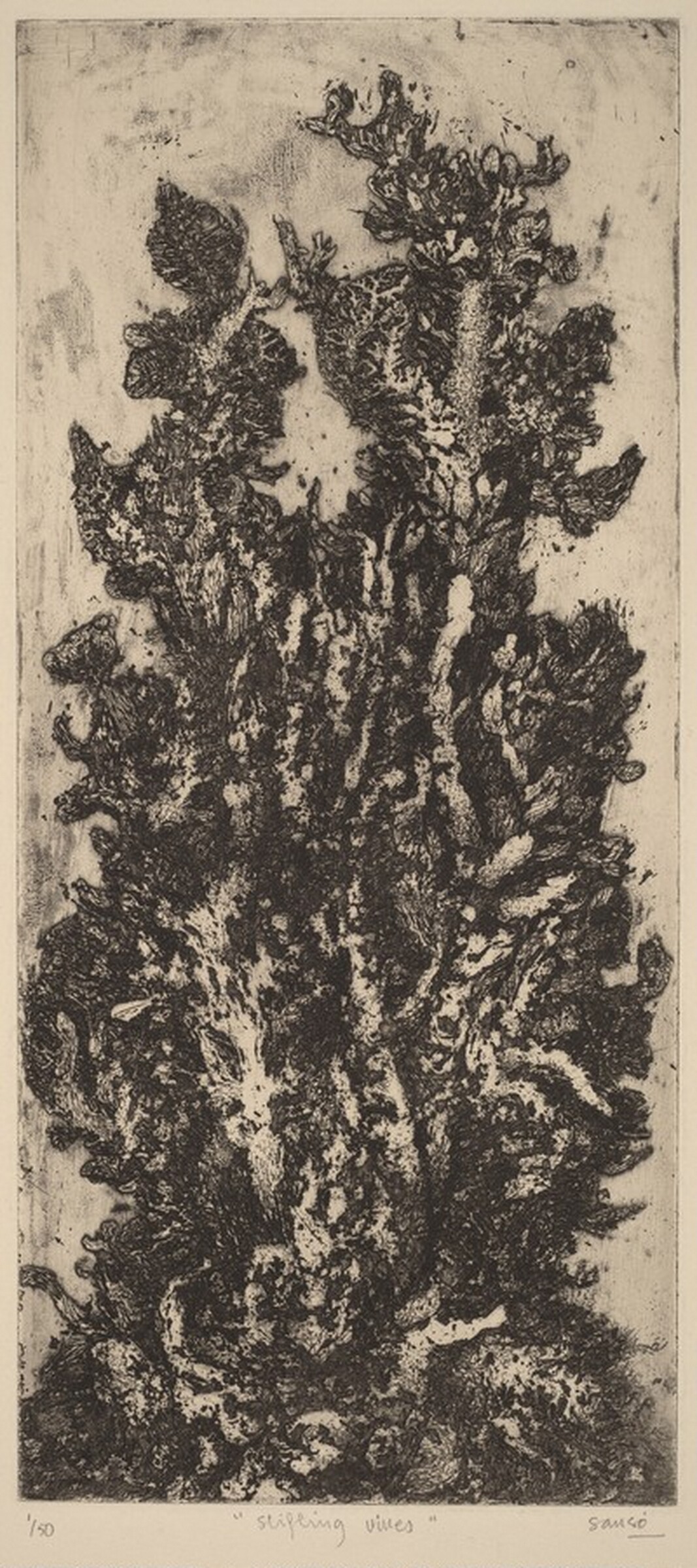 Stifling Vines, Juvenal Sansò, 1960/1961