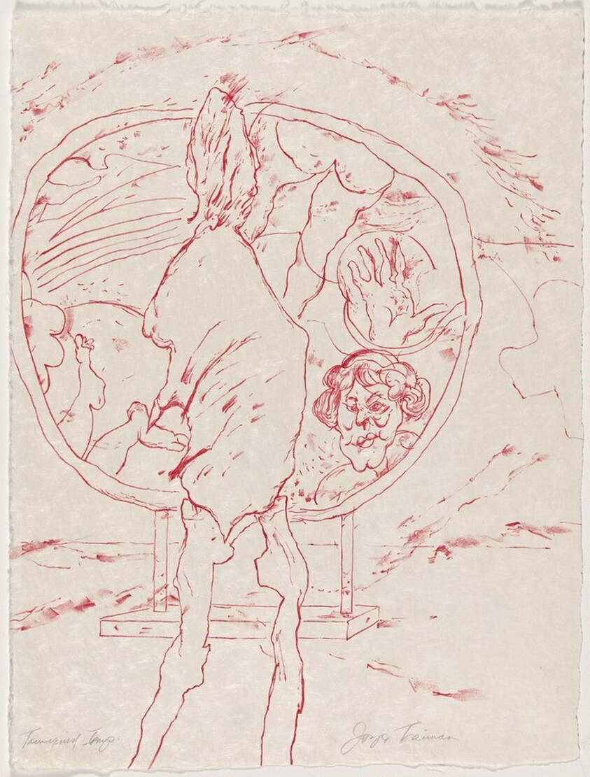 Untitled from Mirrored Couple