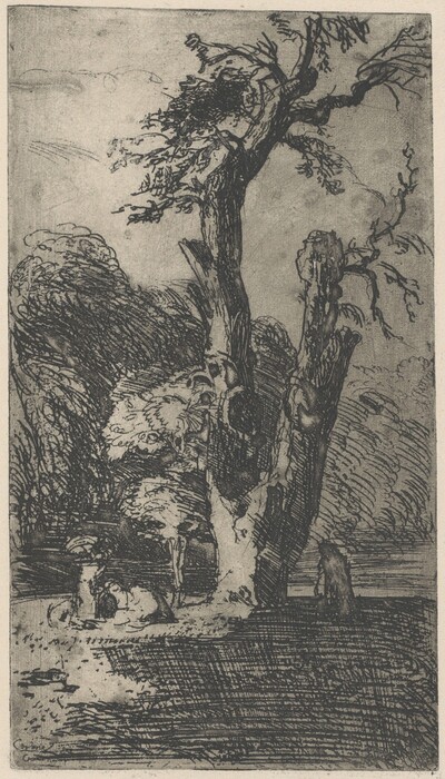 The image shows a landscape with a large, gnarled tree at the center. The horizon is low, with dense foliage in the background. The tree has a textured trunk and the scene is detailed with sketch-like lines and cross-hatching. The color scheme is mostly gray and black, typical of etching. Near the tree, there is uneven terrain and a reclining figure. The sky is light gray with subtle clouds.