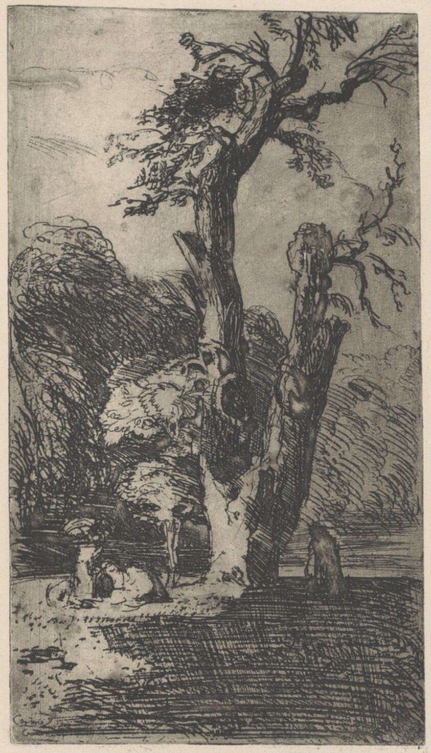 Landscape with a Great Tree