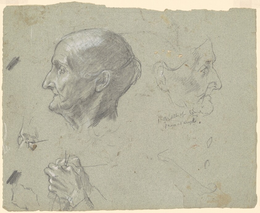 Studies of an Elderly Woman Knitting