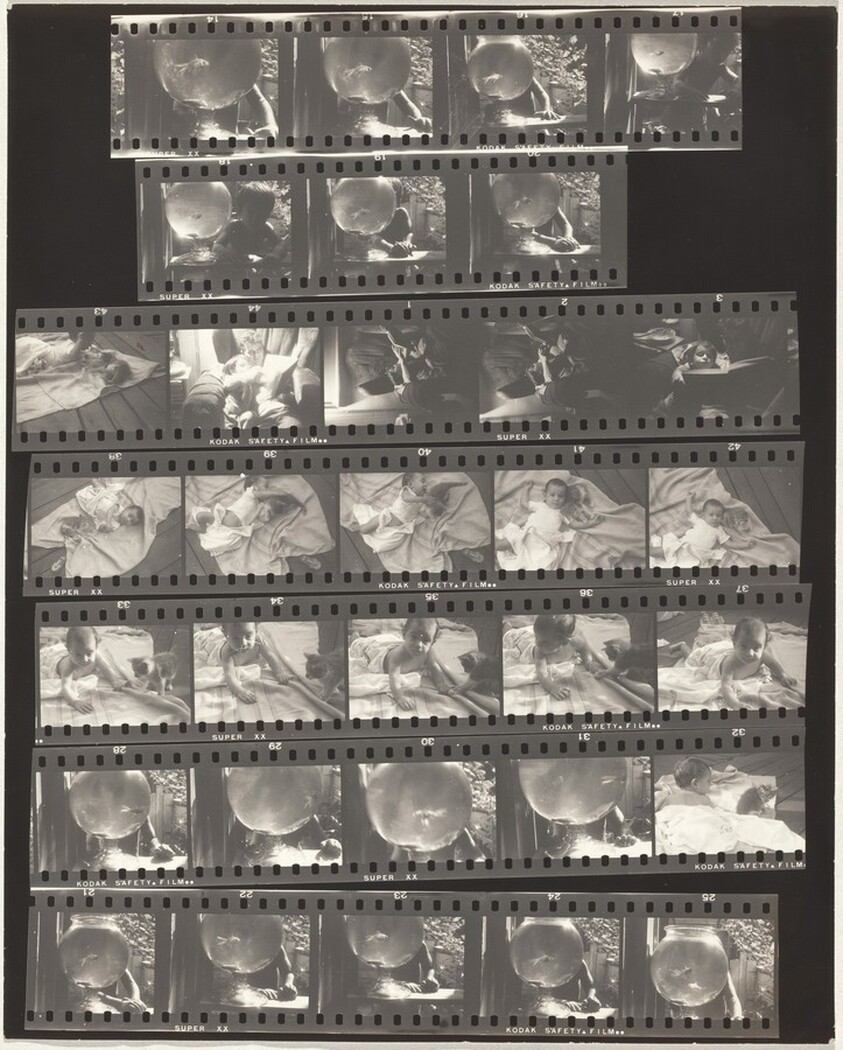 Fishbowl--New York City no number