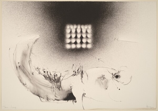 Homo Escorpio Universal