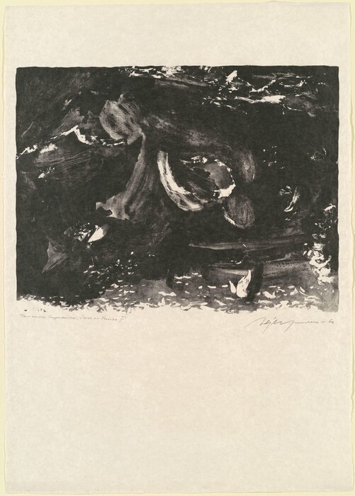 The image shows swirling, dark shapes and lines flowing across the page in an abstract composition. The thick lines and bold contrast suggest a turbulent night sky or crashing waves. Patterns resemble textures of natural elements like tree bark or a rough stone. Viewers are encouraged to find familiar forms within the dynamic movement.
