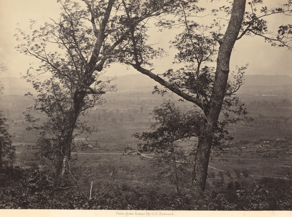 The image shows a landscape framed by two trees. In the foreground, there are two trees with textured bark, branches, and leaves. The background depicts a distant horizon with hills and flat terrain. The image has a monochromatic sepia tone, with a color palette of browns and grays. The landscape in the background is blurred, emphasizing the tree details in the foreground.