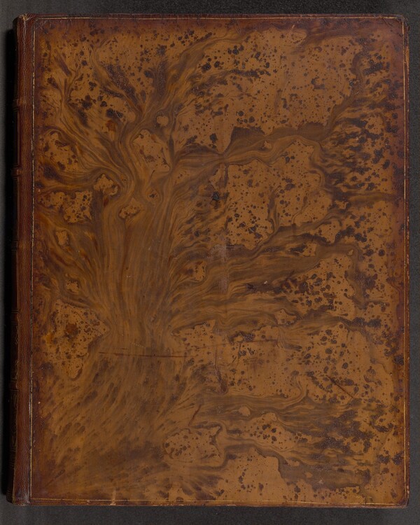 Vida y Hechos del Ingenioso Hidalgo Don Quixote de la Mancha (volume 2)