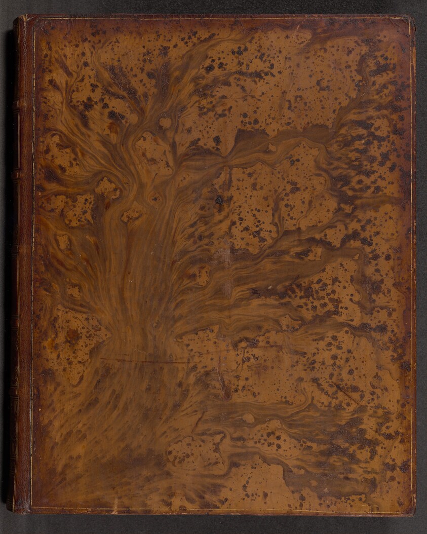 Vida y Hechos del Ingenioso Hidalgo Don Quixote de la Mancha (volume 2)