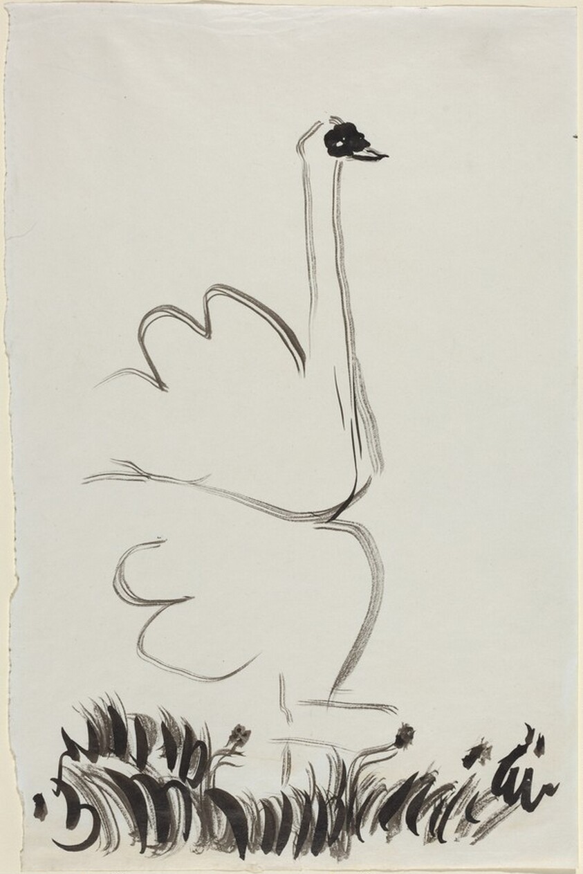 Study for "Le Cygne" (Swan)