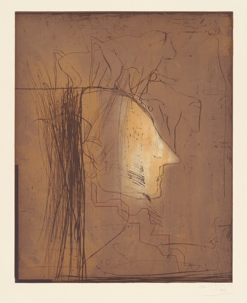 Profile with Baboons