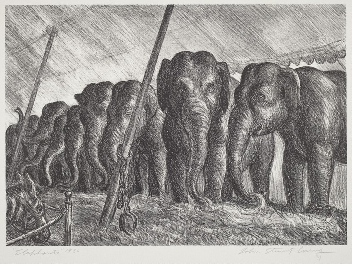 Elephants