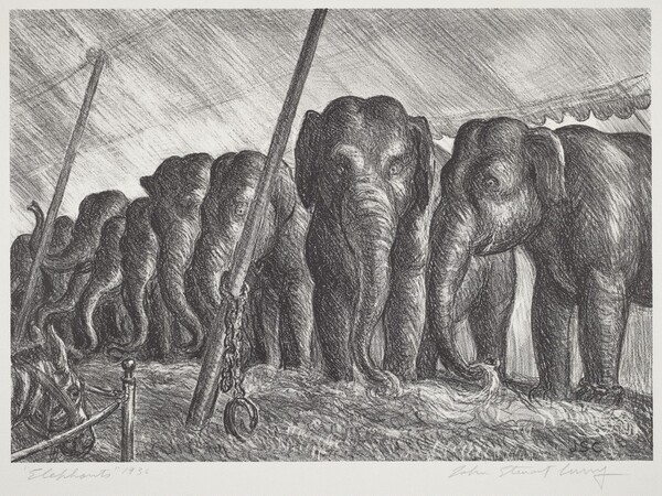 Elephants