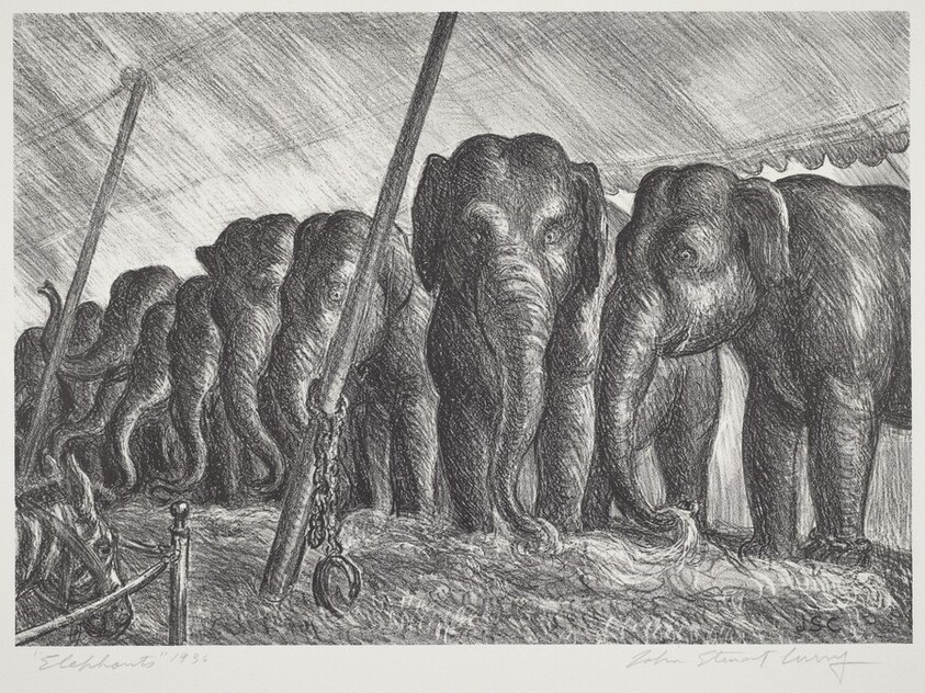 Elephants