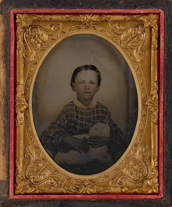 Portrait of a Child and Cat