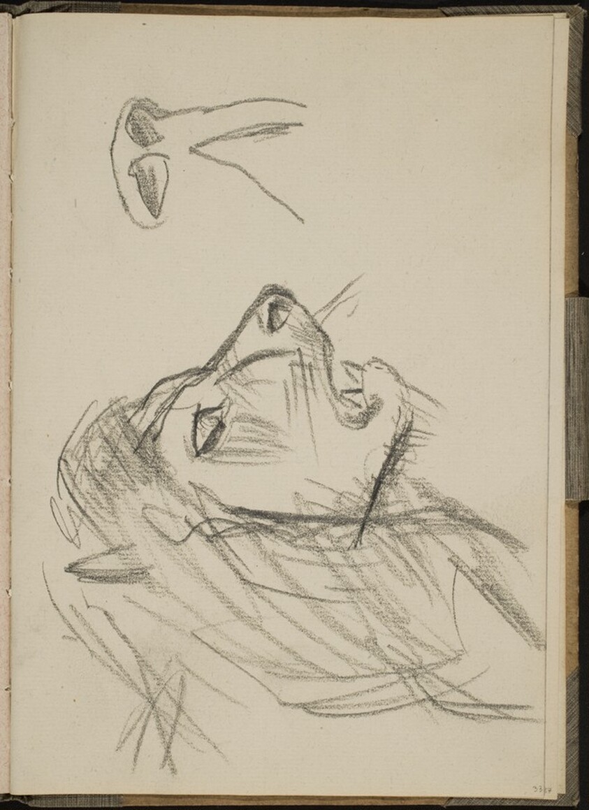 Löwenkopf im Profil (Lion Profile) [p. 33]