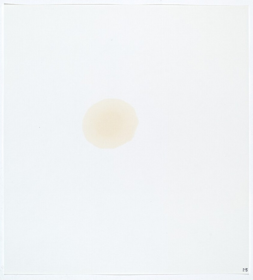 Stains: Castor Oil (Borbro)