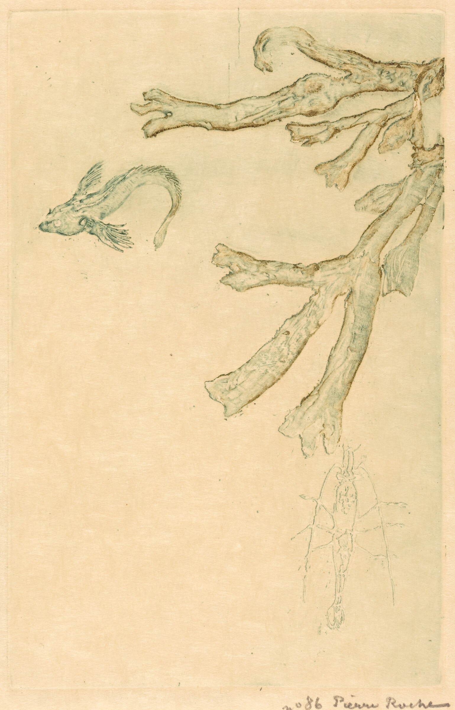 Marine Algae (Algues marines), Pierre Roche, 1893