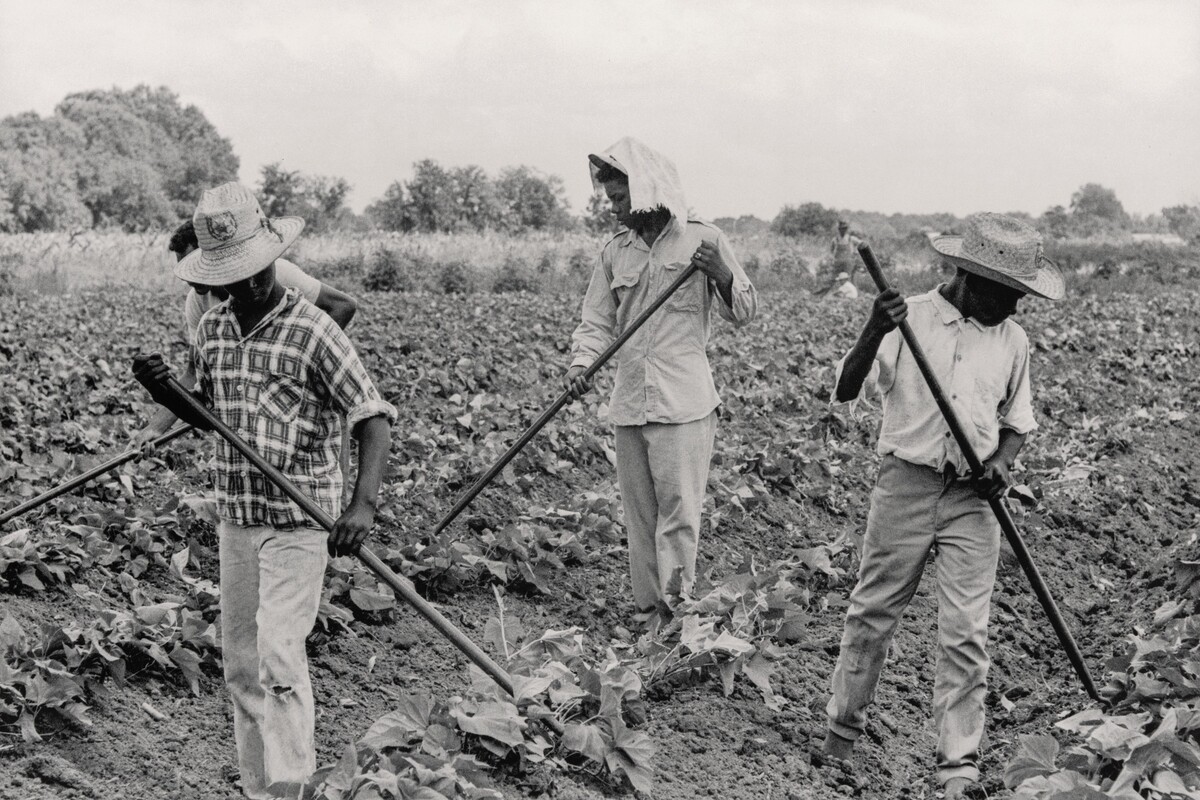 Grand Marie Farmers' Cooperative, Lafayette, Louisiana