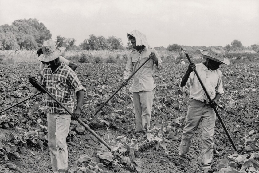 Grand Marie Farmers' Cooperative, Lafayette, Louisiana