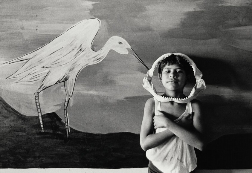 Sin título, Tehuantepec, México (Untitled, Tehuantepec, Mexico)
