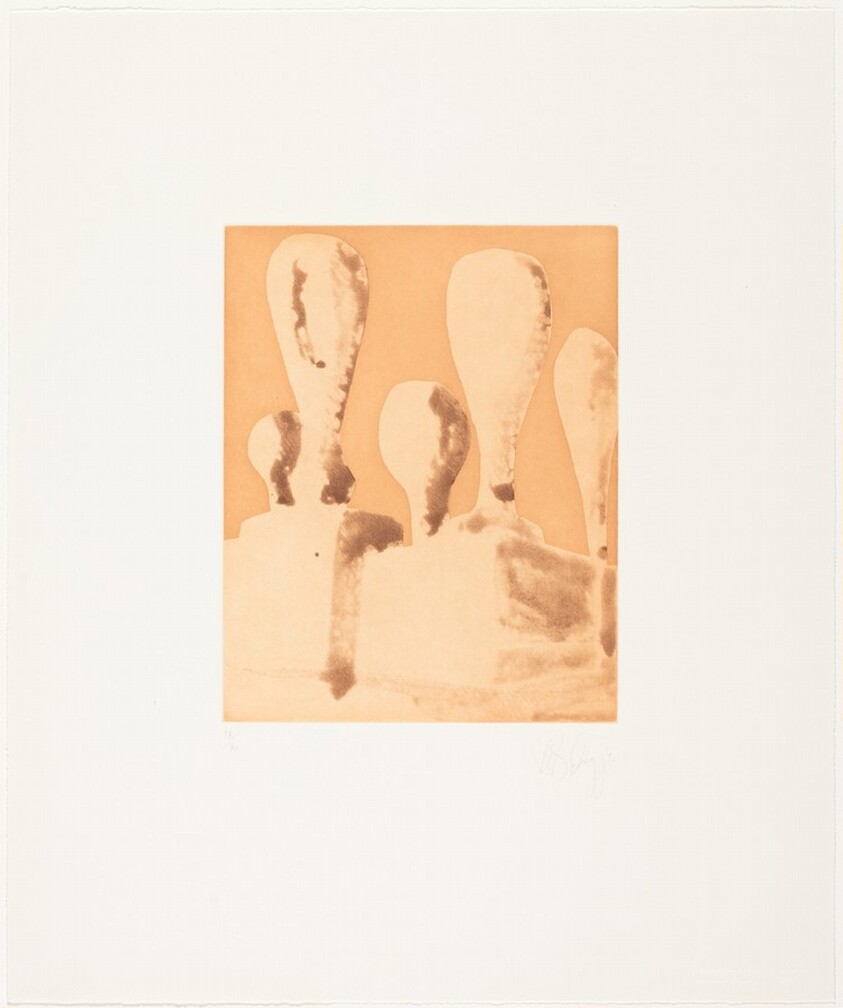 Suburbs (Spitbite Series) V