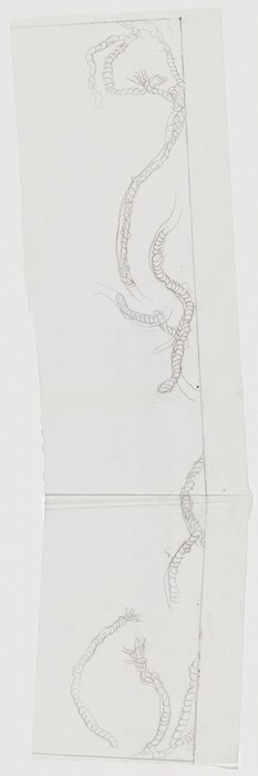 This is a drawing of undulating serpentine forms. The image consists of several elongated, coiling forms flowing across the page in a graceful, curving manner. Delicate outlines create the appearance of scales along the bodies, with each form having tendrils or whisker-like projections. The drawing is executed in a light, minimalistic style, emphasizing fluidity and movement.