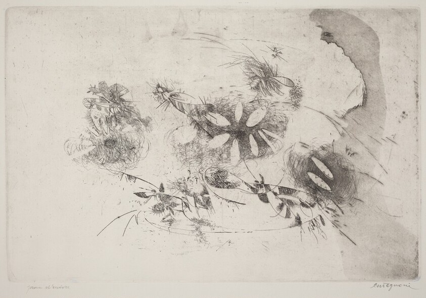 Natura morta (Still Life)